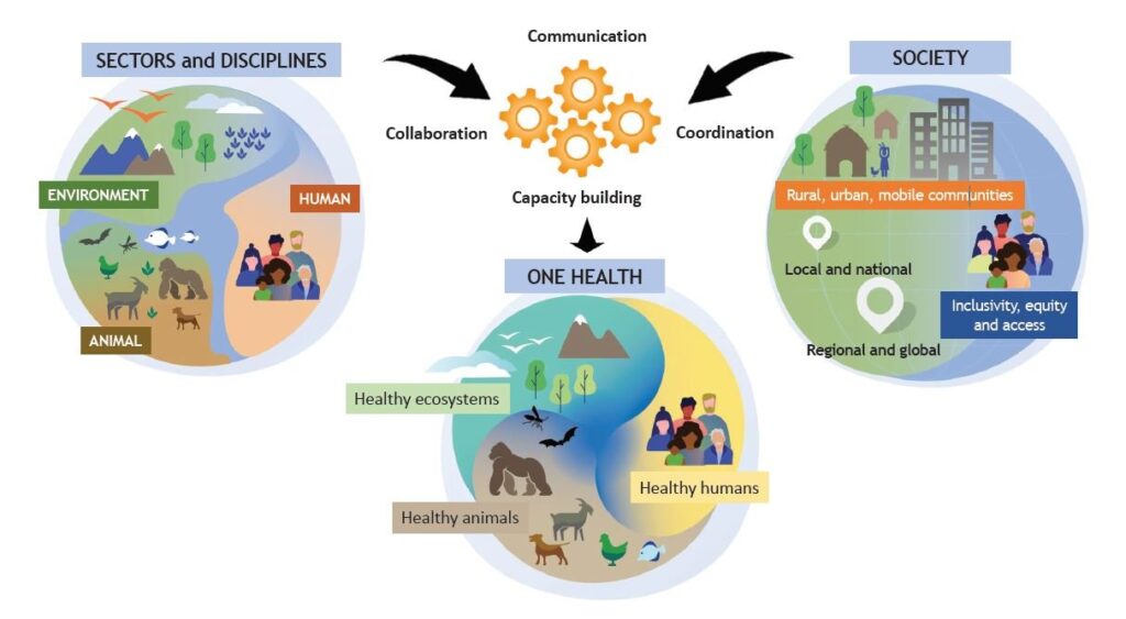 Research joint tripartite unep one health graphic